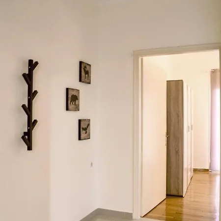 Your Comfy In Acropolis Area *